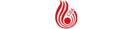 China Information Industry Association(ciia)